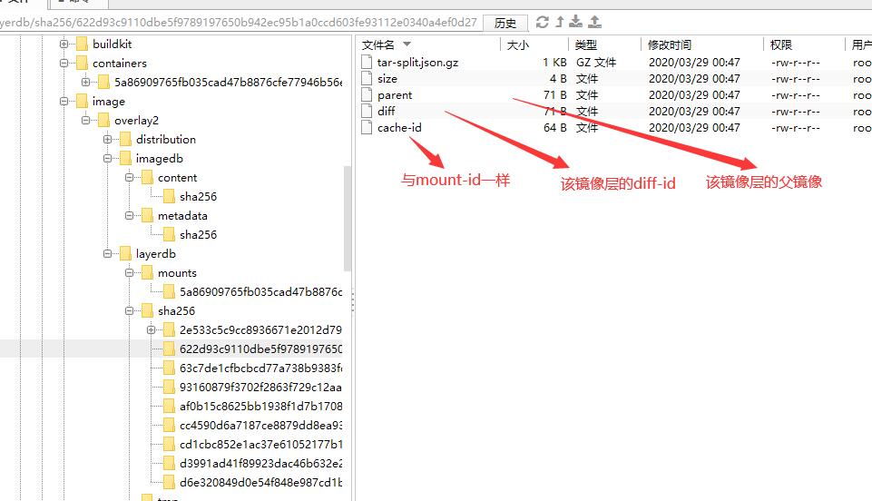 linux下docker的目录结构10.jpg