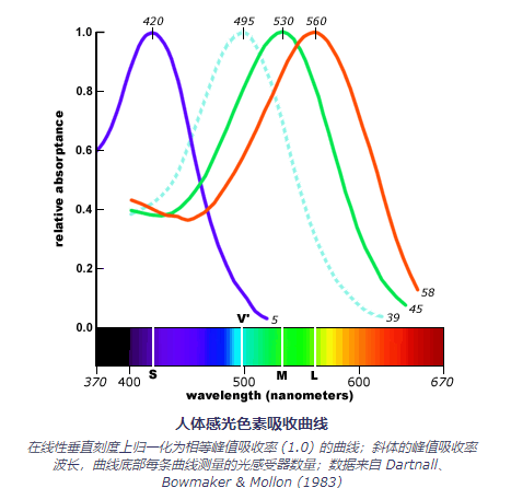 关于颜色的一点认识(二)4.png